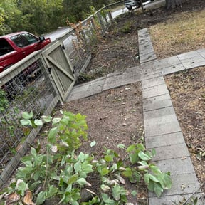 Bush Trimming by Warren B Landscaping and Construction LLC reviewed on August 15, 2025