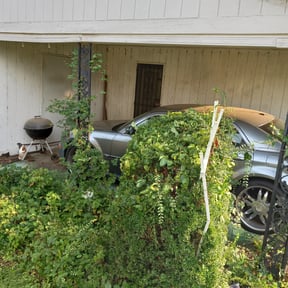 Bush Trimming by Mitchell's Landscaping reviewed on August 19, 2025