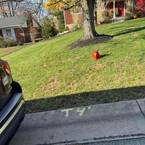 Leaf Removal by ASA Quality Services LLC reviewed on September 17, 2025