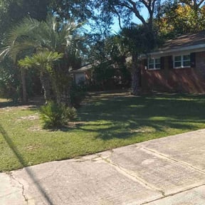 Leaf Removal by DR Lawn Care Services reviewed on September 26, 2025