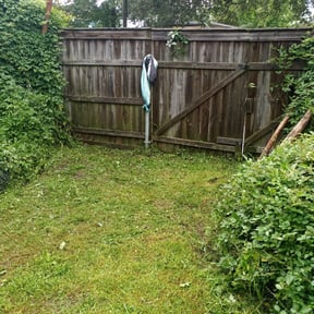 Bush Trimming by Precision cuts reviewed on August 19, 2025