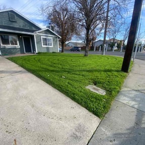 turf care by Jim's Lawn Service reviewed on April 23, 2024