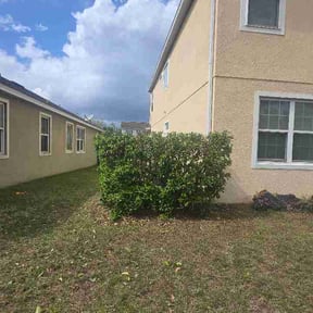 Bush Trimming by Brothers Lawncare reviewed on April 1, 2026