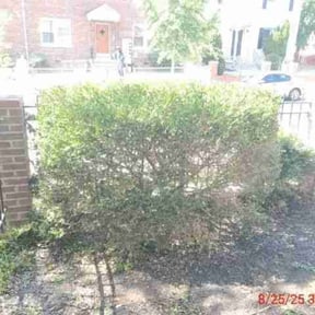 Bush Trimming by F&amp;M LAWNCARE reviewed on May 28, 2022