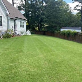yard maintenance by LUR. reviewed on August 18, 2025