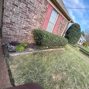 Flower Bed Weeding by TeePropertySolutions reviewed on March 31, 2026