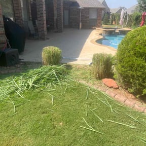 Bush Trimming by Jose Landscaping. reviewed on August 20, 2025