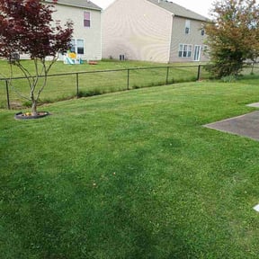 Bush Trimming by Rayne Lawn &amp; Property Maintenance reviewed on May 2, 2026