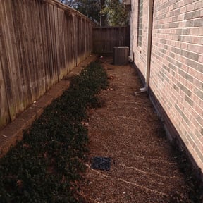 Leaf Removal by Lawn Boss reviewed on August 15, 2025
