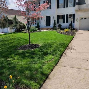 yard work by JBS inc reviewed on August 16, 2025