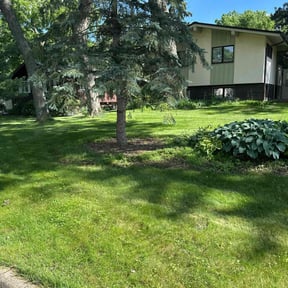 yard service by All Season reviewed on November 21, 2025