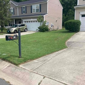 landscape maintenance by Giselle massa reviewed on August 16, 2025