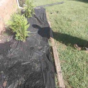 Mulching by Arangos Compañía reviewed on June 20, 2025