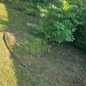 Flower Bed Weeding by Fastway Lawn Care reviewed on November 22, 2025