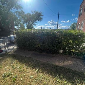 Bush Trimming by Tabers's Lawn Care LLC reviewed on December 4, 2025