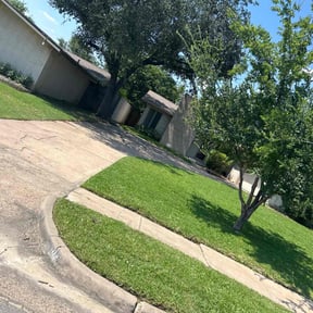 turf care by Green Hands Landscaping reviewed on April 29, 2024
