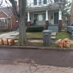 Leaf Removal by Pure Perfection Lawn Care LLC reviewed on August 21, 2025