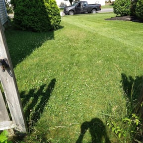 Bush Trimming by Chuyin's Lawn Care LLC reviewed on August 21, 2025