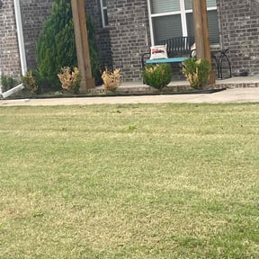 Bush Trimming by Prizel Lawn Service reviewed on August 20, 2025