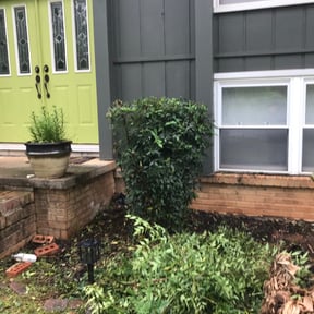 Bush Trimming by Green Earth Lawn and snow LLC reviewed on August 18, 2025