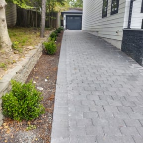 Leaf Removal by Hyman and Friends reviewed on October 2, 2025