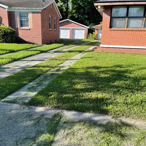 turf maintenance by A&L Lawncare reviewed on April 22, 2024