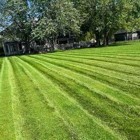 residential landscaping by Felix Alejos reviewed on August 15, 2025
