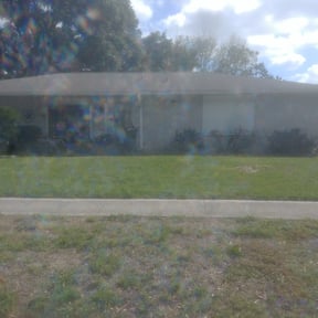 Bush Trimming by Lee's Lawn Care reviewed on August 16, 2025