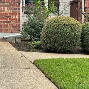 Flower Bed Weeding by Dump N' Dash Dumpsters LLC reviewed on August 18, 2025