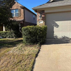 Bush Trimming by The lawn goat llc reviewed on November 24, 2025