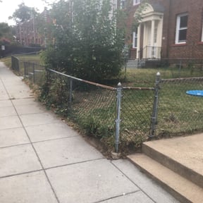 Bush Trimming by Just us landscaping LLC reviewed on August 20, 2025