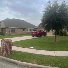 lawn care services by Nu Globe Landscaping, LLC reviewed on August 16, 2025