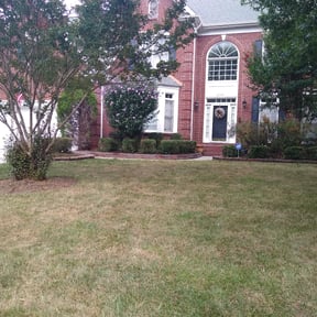 Bush Trimming by Just Cuts Lawn Care reviewed on August 16, 2025
