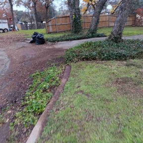 Leaf Removal by Elite Landscaping reviewed on August 20, 2025
