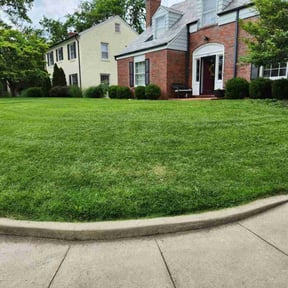 landscape maintenance by Shokdaworld Lawncare  reviewed on November 20, 2025