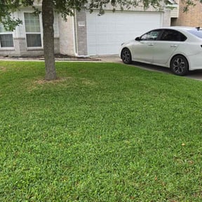 yard service by Texas landscaping reviewed on August 15, 2025