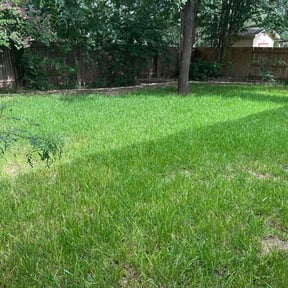 yard work by Lybarger's lawn care reviewed on August 18, 2025