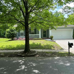 landscaping services by It Grow We Mow Lawncare LLC reviewed on August 19, 2025