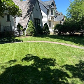 yard service by Sun &amp; Soil Landscape reviewed on May 17, 2025