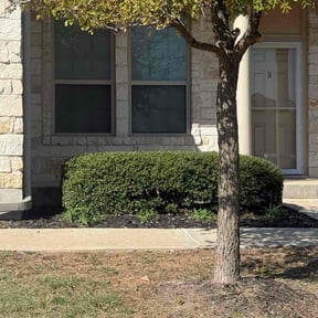 Bush Trimming by BENNETT LINKS SOLUTIONS reviewed on November 19, 2025