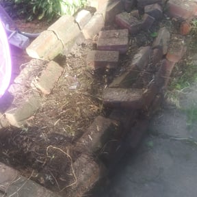 Flower Bed Weeding by Steele Clean reviewed on August 16, 2025