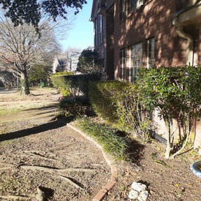 Bush Trimming by JLC Landscape and Lawn Care reviewed on August 15, 2025