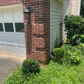 Bush Trimming by Moreno landscaping reviewed on August 21, 2025