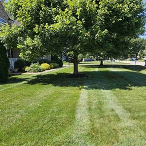 turf maintenance by Giron Tree Services LLC reviewed on May 1, 2024