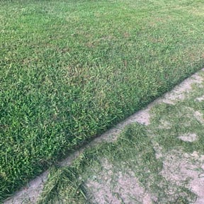 turf maintenance by Mr. Kvr's Lawn Care Services reviewed on May 6, 2024