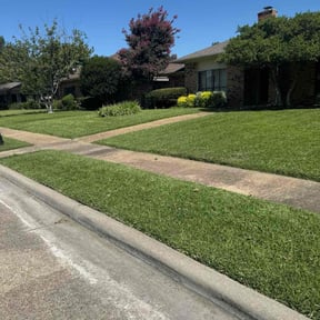 yard maintenance by Smith's Services reviewed on January 8, 2026