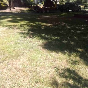 Leaf Removal by AJR Lawn Care reviewed on September 24, 2025