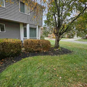 Bush Trimming by Afloridable services LLC reviewed on November 21, 2025