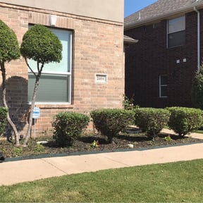 Bush Trimming by 3 brothers landscaping reviewed on August 21, 2025