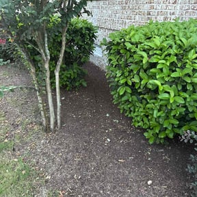 Flower Bed Weeding by Murray's Irish eyes lawn service reviewed on November 22, 2025